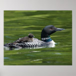 North America, Canada, British Columbia, Lac Le Poster