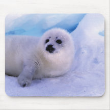 North America, Canada, Gulf of St. Lawrence. 2 Mousepad
