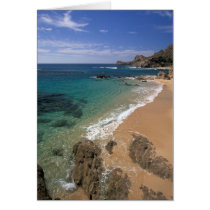 North America, Mexico, Baja California Sur, Cards