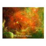 North America Nebula Postcards