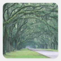 North America, U.S.A., Georgia, Savannah, Square Sticker