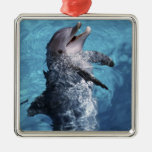 North America, USA, Hawaii. Dolphin 2 Christmas Ornament