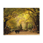North America, USA, New York, New York City. 12 postcards