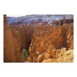 North America, USA, Utah, Bryce Canyon 2 photography
