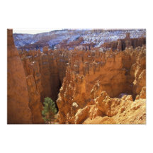 North America, USA, Utah, Bryce Canyon Photographic Print