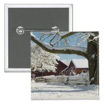 North America, USA, WA, Whidbey Island. 2 Pinback Button