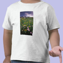 North America, USA, Wyoming, Yellowstone 2 t-shirts