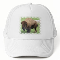North American Bison Baseball Hat