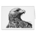 North American Eagle Pen and Ink cards