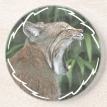 North American Lynx Cat Coasters