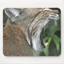 North American Lynx Mouse Pad