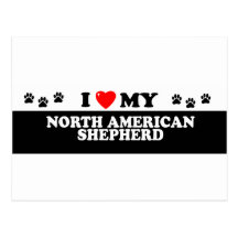 NORTH AMERICAN SHEHERD_ POST CARDS