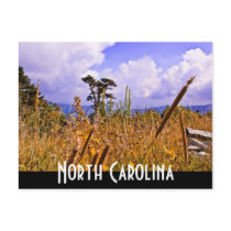 north carolina post cards
