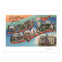 North Carolina (State Flower/Bird) Post Card