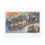 North Carolina (State Flower/Bird) Post Card