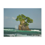 North Coast of Trinidad postcards