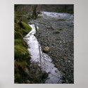 North Fork Santiam River posters
