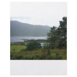 North Lough Corrib Custom Flyer