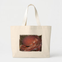 North Pacific Giant Octopus Bags