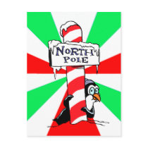 North Pole Penguin