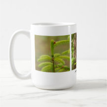 North Woods Mug