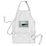 Northern bottlenose whale aprons
