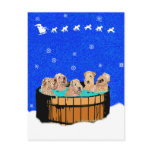 NORTHERN CALIFORNIA CHRISTMAS postcards