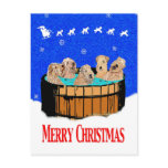 NORTHERN CALIFORNIA MERRY CHRISTMAS postcards