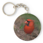 Northern Cardinal 2 Key Chains