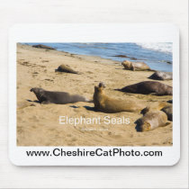 Northern Elephant Seal California Products Mousepads
