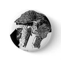 Northern Goshawk Buttons