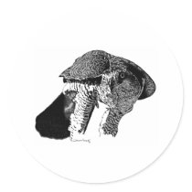 Northern Goshawk Round Sticker