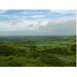 Northern Ireland photo sculptures