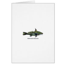 Northern Kingfish - Roundhead - Whiting Greeting Card