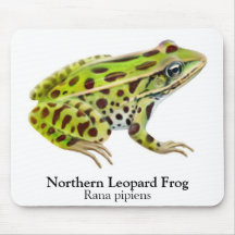 Northern Leopard Frog Mousepad