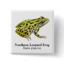 Northern Leopard Frog Pin