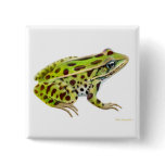 Northern Leopard Frog Pin buttons