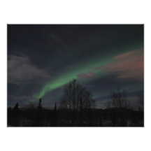 Northern Lights in Boreal Forest Photo Print
