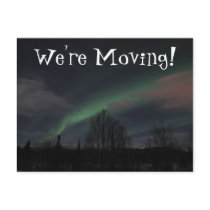 Northern Lights in Boreal Forest Post Cards