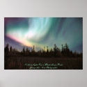 Northern Lights Over a Black Spruce Forest posters