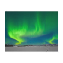 Northern Lights Swirls Postcard