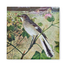 Northern Mockingbird Magnets