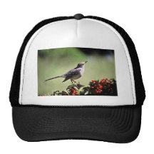 Northern Mockingbird Mesh Hat