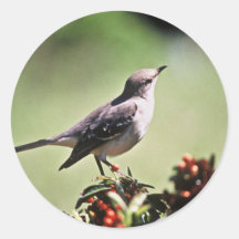 Northern Mockingbird Round Sticker