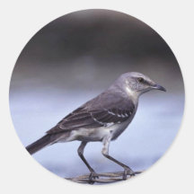 Northern Mockingbird Stickers