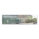 Northern Neck Bumper Sticker bumper stickers