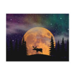 Northern Nights- Northern Lights postcards