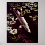 northern pike poster