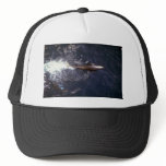 Northern right whale dolphin hats