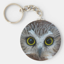 Northern Saw-whet Owl Close-Up Keychain